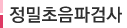 정밀초음파검사
