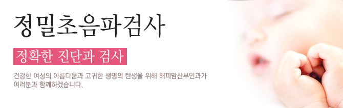 정밀초음파검사