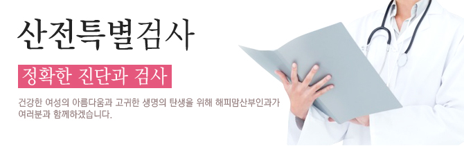산전특별검사