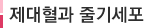 태교