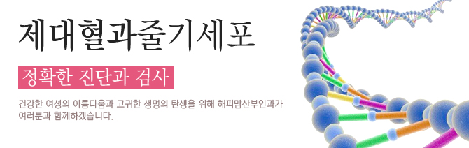 제대혈과줄기세포